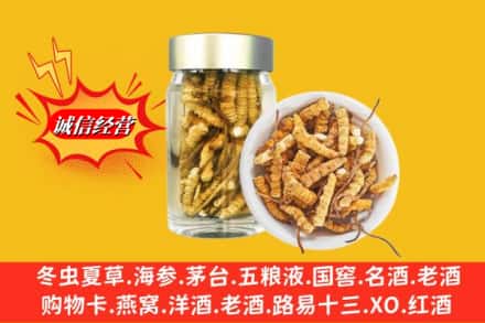 林芝波密县回收散虫草